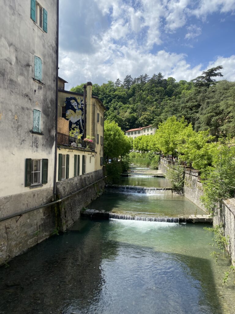 IMG 1491 1
